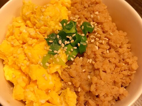 電子レンジ１０分！二色そぼろ丼　油不使用ヘルシー！